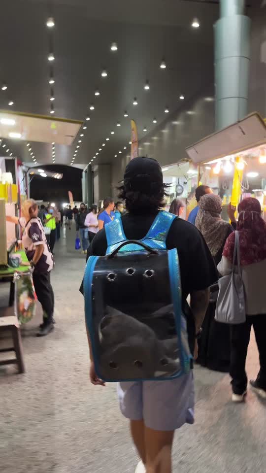 TikTok video still, Malaysian Cat Expo review
