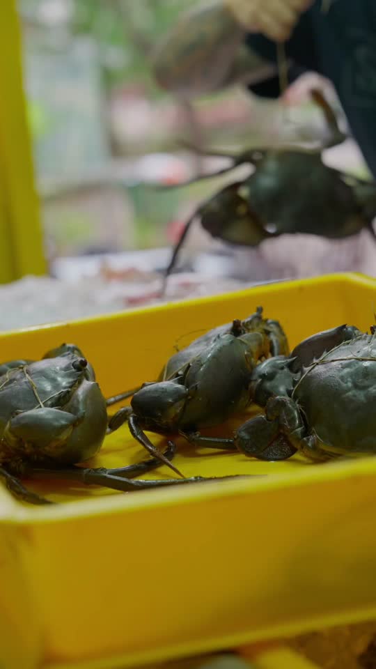 TikTok video still, Wan Ikan Bakar Bandar Menjalara review