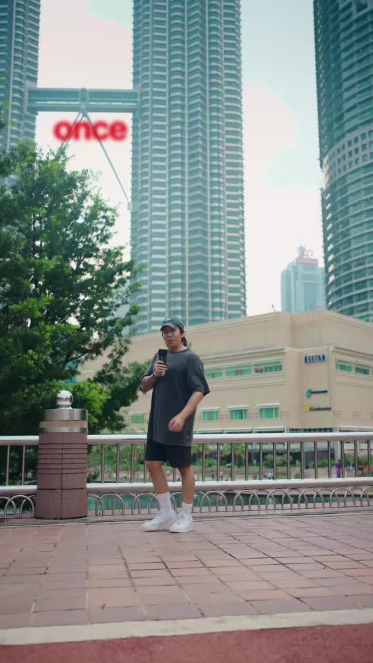 TikTok video still, Palgaeook review